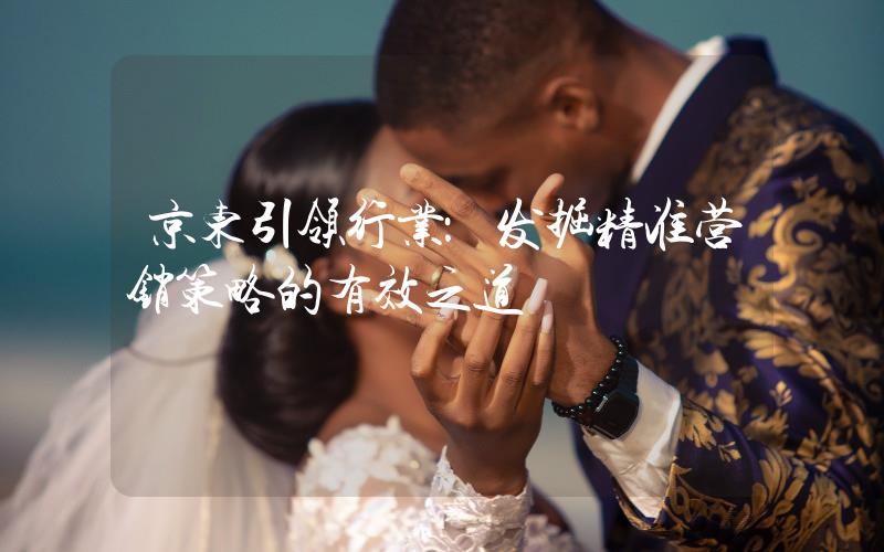 京東引領(lǐng)行業(yè):發(fā)掘精準營銷策略的有效之道