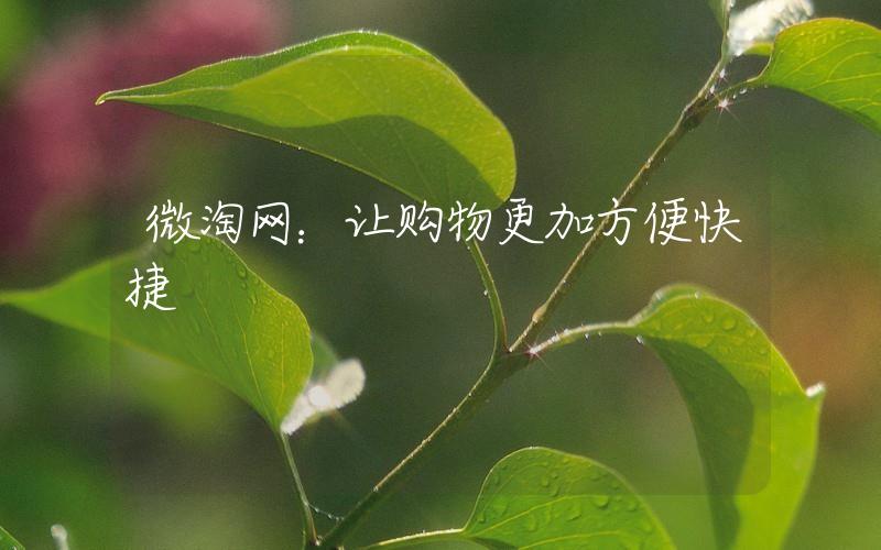 微淘網(wǎng):讓購物更加方便快捷