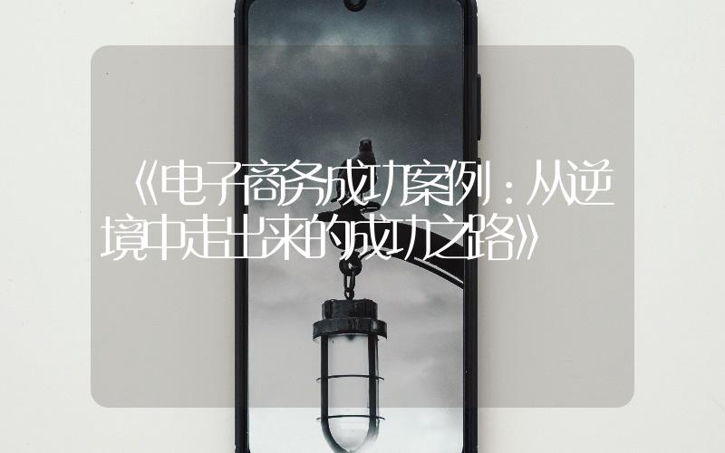 《電子商務(wù)成功案例:從逆境中走出來的成功之路》